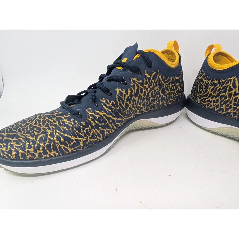 Nike Air Jordan Trainer 1 Low Michigan Wolverines Navy Maize Men's Shoes Size 12